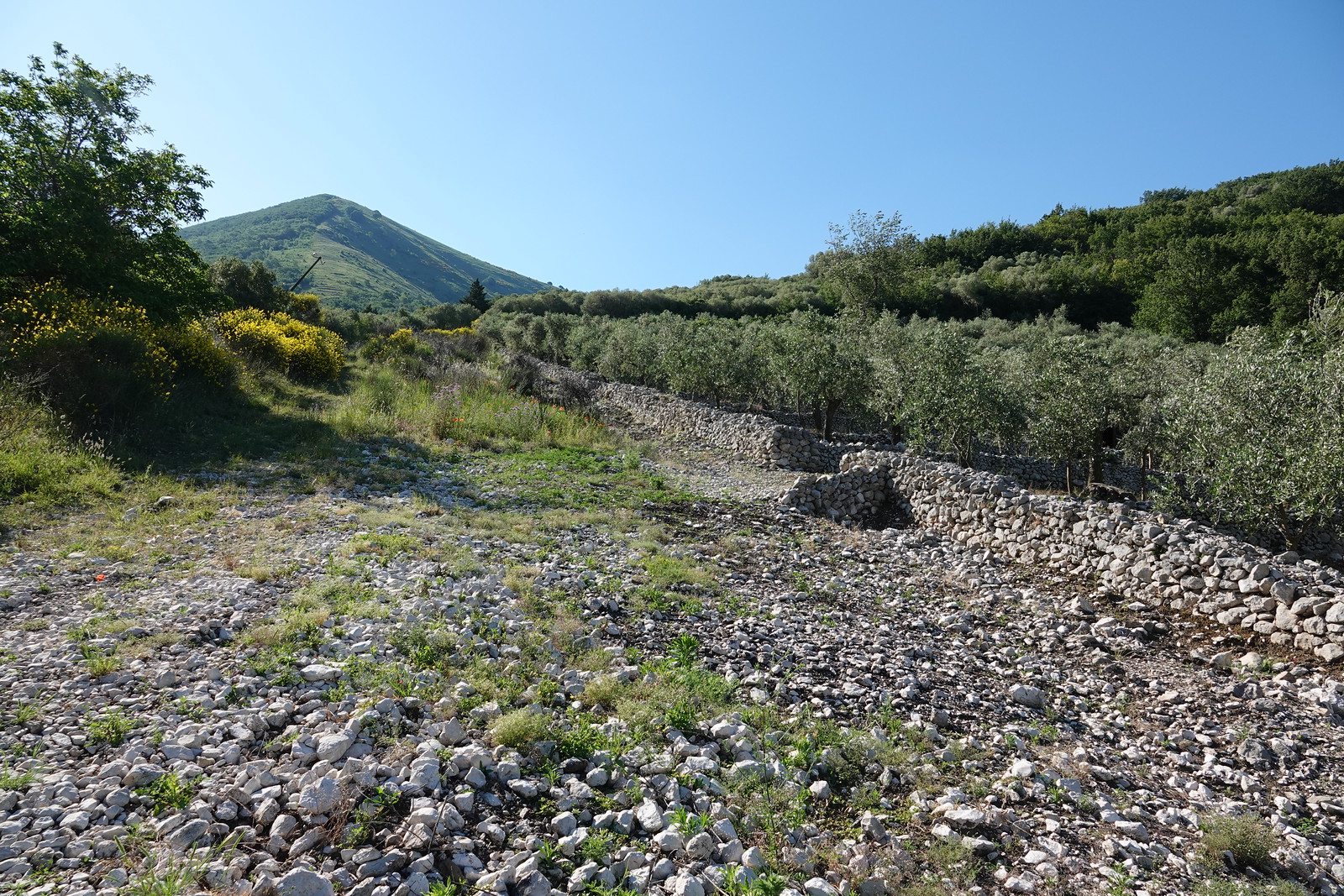 Vesuvio Gravel 2027: dal 21 al 23 maggio una nuova edizione tutta da vivere